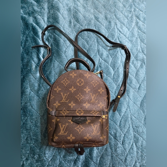 LV Palm Spring Mini Backpack - Picture 1 of 16
